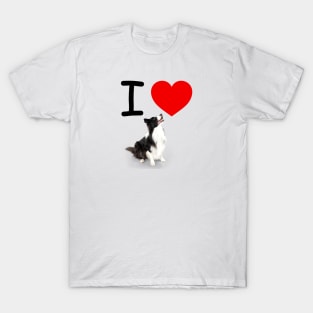 I HEART BORDER COLLIES T-Shirt